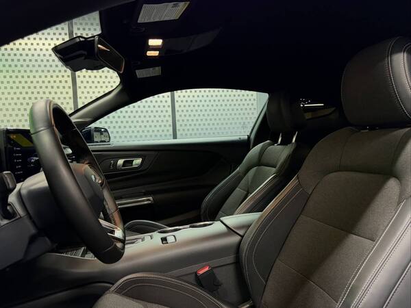 Ford Mustang NEW